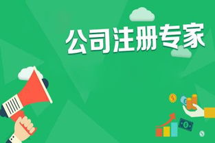 西安代理記賬公司商標(biāo)注冊(cè)時(shí)間為何漫長(zhǎng)？專業(yè)代理代辦的價(jià)值解析